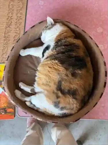賀茂別雷神社(栃木県)