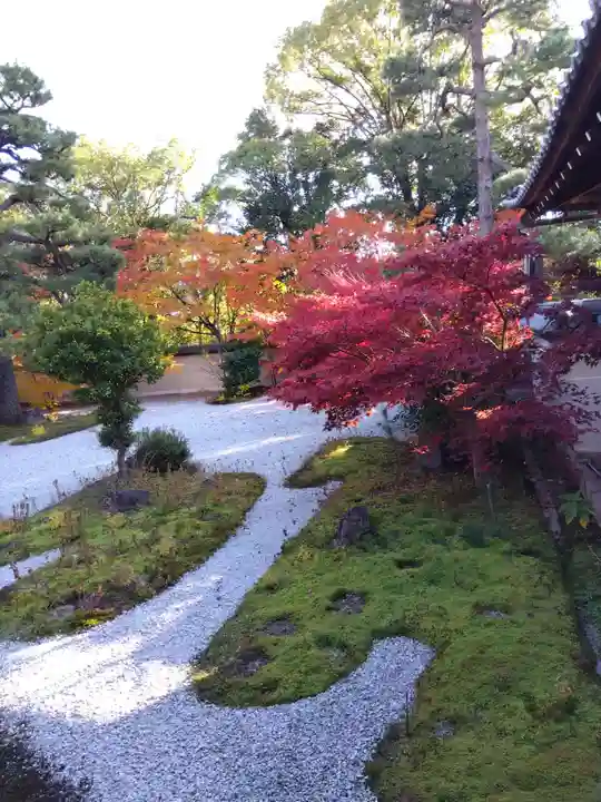 廬山寺(廬山天台講寺)(京都府)