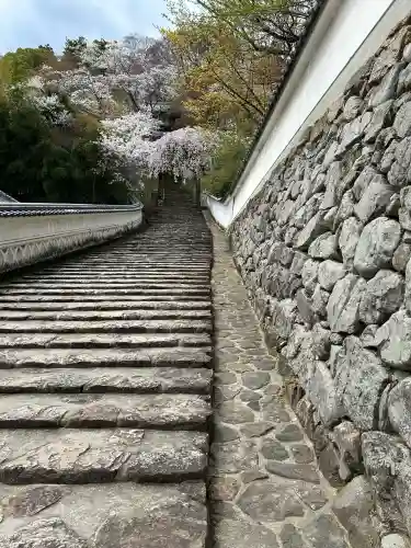 長谷寺の{uncategorized: "未分類", other: "その他", undefined: "問題あり", building: "その他建物", grave: "お墓", sacred_gate: "鳥居", guardian: "狛犬", statue: "像", buddha: "仏像", history: "歴史", nature: "自然", garden: "庭園", animal: "動物", pagoda: "塔", temizu: "手水舎", mountain_gate: "山門・神門", sanctuary: "本殿・本堂", subordinate: "末社・摂社", art: "芸術", scenery: "景色", jizo: "地蔵", ema: "絵馬", goshuin: "御朱印", omikuji: "おみくじ", items: "授与品その他", amulet: "お守り", goshuincho: "御朱印帳", eats: "食事", festival: "お祭り", votive_dance: "神楽", shichigosan: "七五三参", wedding: "結婚式", experience: "体験その他", initially: "初詣", around: "周辺", anti_infection: "感染症対策"}