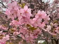 普門寺(切り絵御朱印発祥の寺)(愛知県)