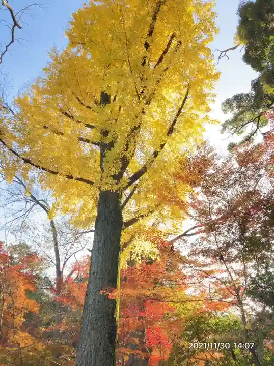 長岡天満宮の自然