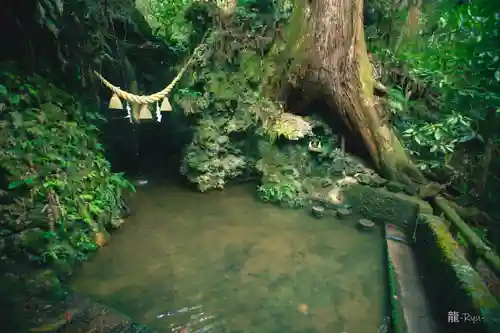 目の霊山　油山寺(静岡県)
