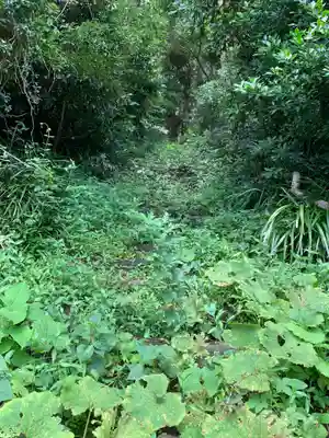 諏訪神社の周辺