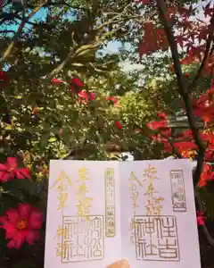 白山神社の景色 2021年12月01日(水)〜(2021年11月21日(日) 15時28分37秒投稿)