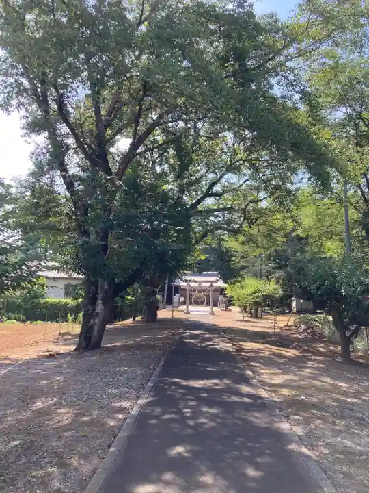 木戸神社(茨城県)