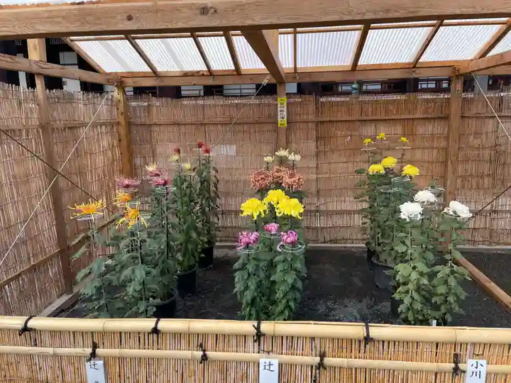 本願寺(西本願寺)(京都府)