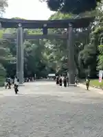 明治神宮(東京都)