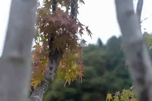 諏訪大社上社前宮(長野県)