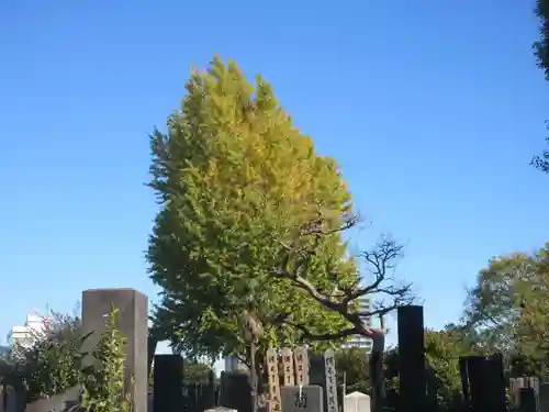 了俒寺(東京都)