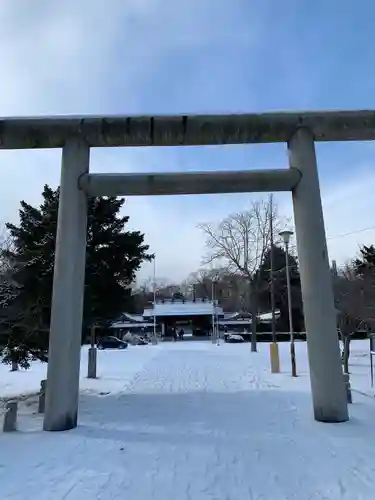 札幌護國神社の鳥居