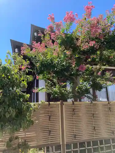 大本山高林寺の自然