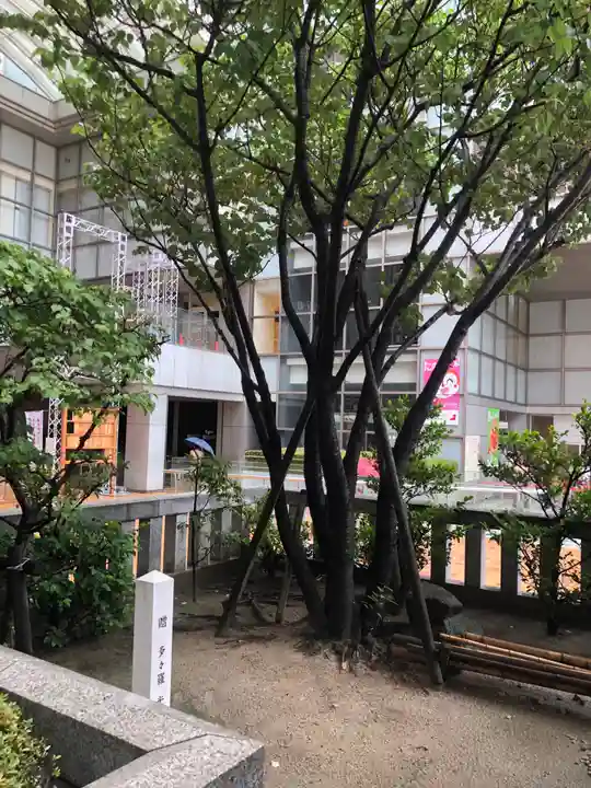 鏡天満宮の自然