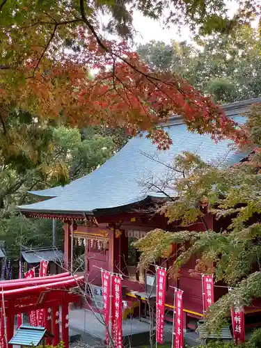 宮地嶽神社の本殿・本堂