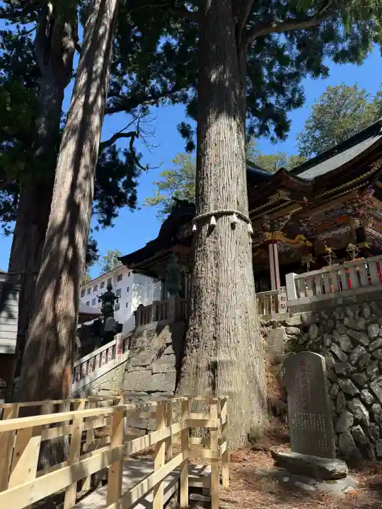 三峯神社の{uncategorized: "未分類", other: "その他", undefined: "問題あり", building: "その他建物", grave: "お墓", sacred_gate: "鳥居", guardian: "狛犬", statue: "像", buddha: "仏像", history: "歴史", nature: "自然", garden: "庭園", animal: "動物", pagoda: "塔", temizu: "手水舎", mountain_gate: "山門・神門", sanctuary: "本殿・本堂", subordinate: "末社・摂社", art: "芸術", scenery: "景色", jizo: "地蔵", ema: "絵馬", goshuin: "御朱印", omikuji: "おみくじ", items: "授与品その他", amulet: "お守り", goshuincho: "御朱印帳", eats: "食事", festival: "お祭り", votive_dance: "神楽", shichigosan: "七五三参", wedding: "結婚式", experience: "体験その他", initially: "初詣", around: "周辺", anti_infection: "感染症対策"}
