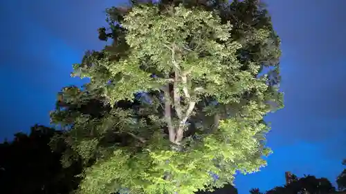 北海道護國神社の自然