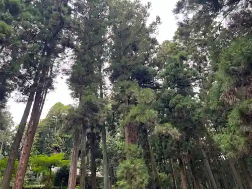 大宮温泉神社(栃木県)