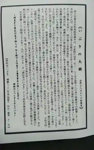 西伝寺(静岡県)