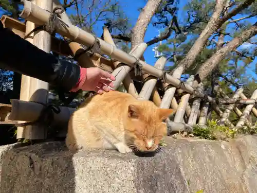 豊國神社の動物