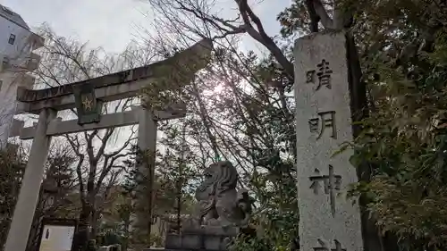 晴明神社の鳥居