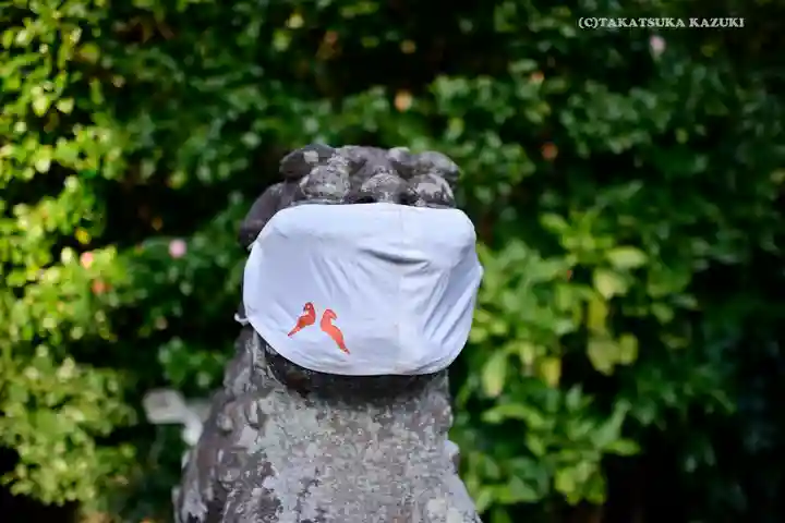 鶴岡八幡宮の狛犬