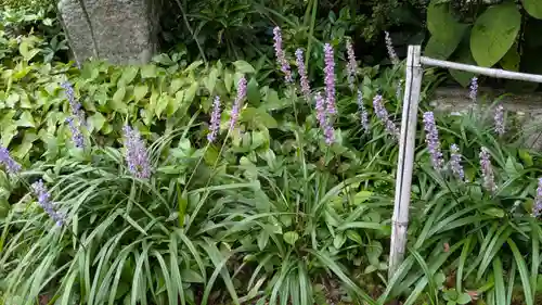 実光院(京都府)