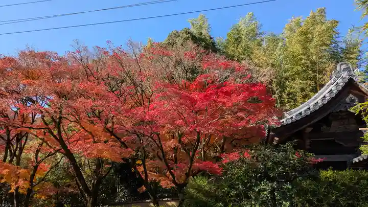 光悦寺(京都府)