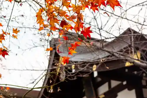 三輪神社(愛知県)