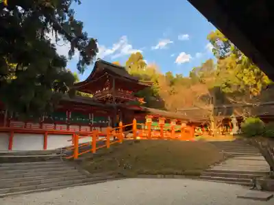 春日大社の本殿・本堂