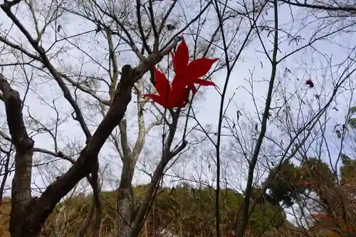 圓光寺の自然