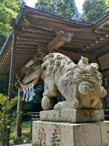 白山神社の狛犬