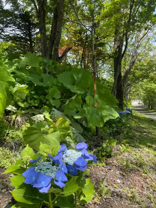 釧路一之宮 厳島神社の自然
