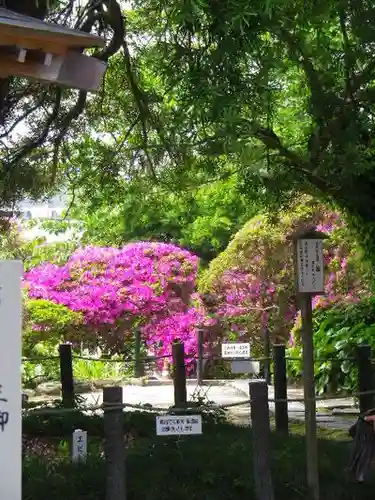 安養院　(田代寺）の庭園