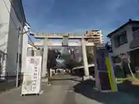 舎人氷川神社の鳥居