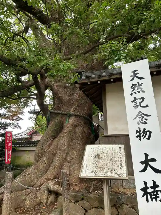 無量寺(愛知県)