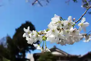 くまくま神社(導きの社 熊野町熊野神社)の自然(2021年03月17日(水) 19時30分47秒投稿)