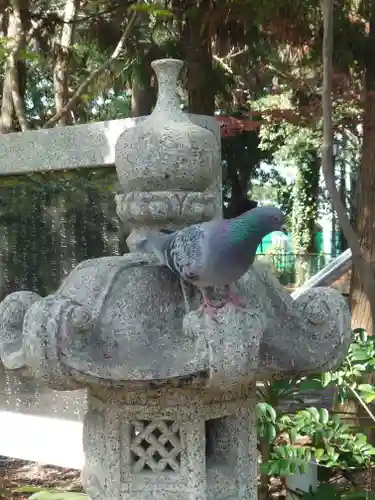 鶴嶺八幡宮(神奈川県)