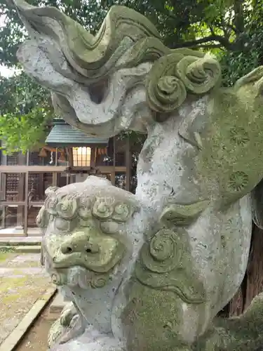 清水八幡神社の狛犬