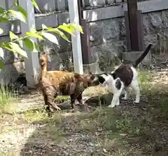 七宮神社の動物