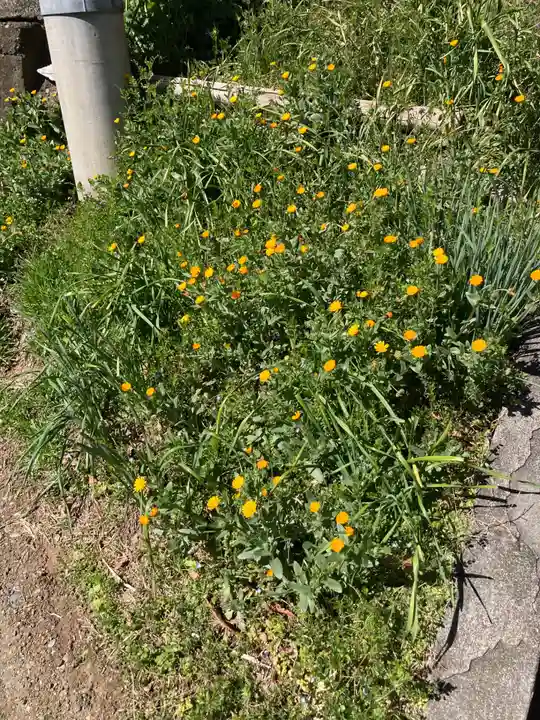日吉山王大権現(日吉神社)(神奈川県)