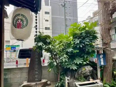 三光稲荷神社の{uncategorized: "未分類", other: "その他", undefined: "問題あり", building: "その他建物", grave: "お墓", sacred_gate: "鳥居", guardian: "狛犬", statue: "像", buddha: "仏像", history: "歴史", nature: "自然", garden: "庭園", animal: "動物", pagoda: "塔", temizu: "手水舎", mountain_gate: "山門・神門", sanctuary: "本殿・本堂", subordinate: "末社・摂社", art: "芸術", scenery: "景色", jizo: "地蔵", ema: "絵馬", goshuin: "御朱印", omikuji: "おみくじ", items: "授与品その他", amulet: "お守り", goshuincho: "御朱印帳", eats: "食事", festival: "お祭り", votive_dance: "神楽", shichigosan: "七五三参", wedding: "結婚式", experience: "体験その他", initially: "初詣", around: "周辺", anti_infection: "感染症対策"}