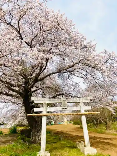 鹿嶋神社(茨城県)