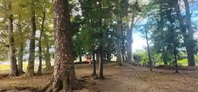 十文字天満神社(山形県)