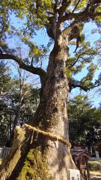 伊弉諾神宮(兵庫県)