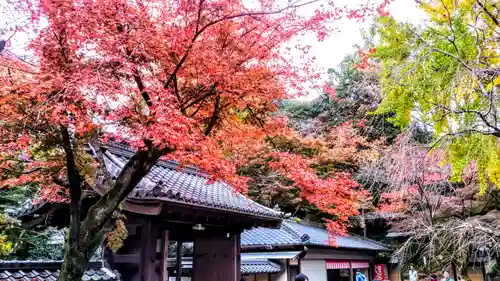 定光寺の山門