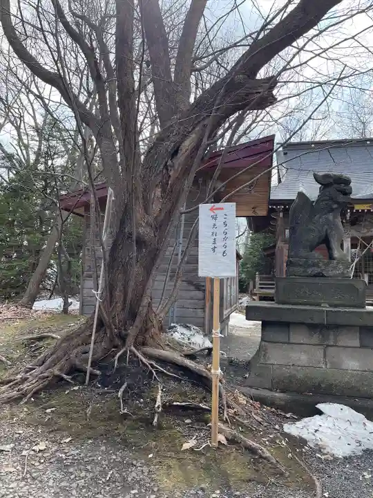 相馬神社のその他建物