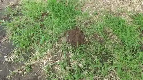 酒門神社(茨城県)