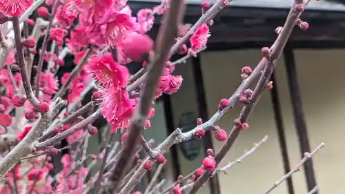 城南宮(京都府)