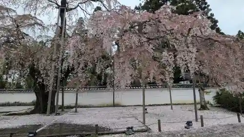 醍醐寺(京都府)