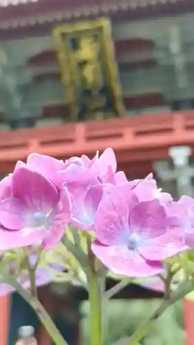 楽法寺（雨引観音）(茨城県)
