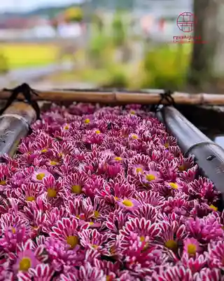 立志神社(滋賀県)